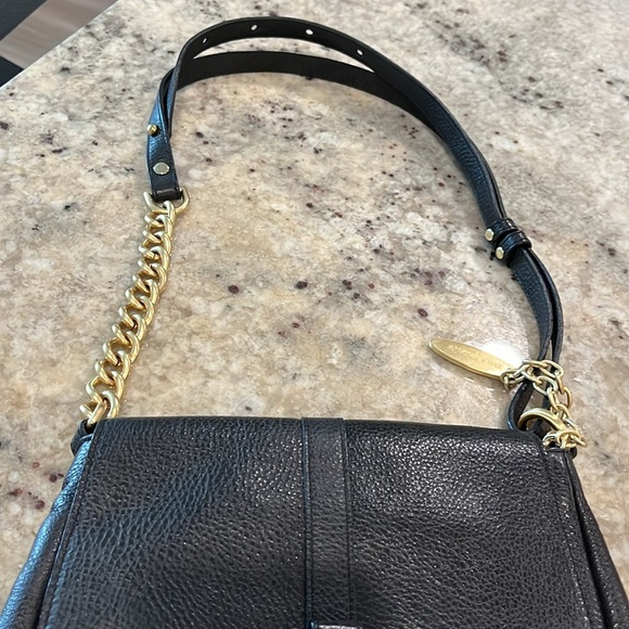 Brahmin - Picture 7 of 7